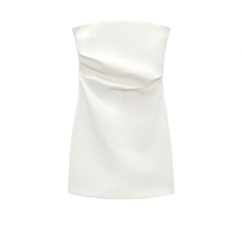 ZARA Tube Dress